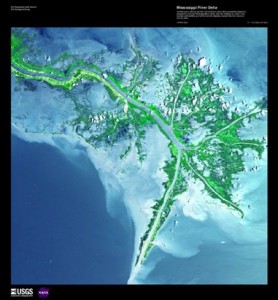 The “birdfoot” below New Orleans where the Mississippi River 